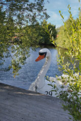 Ferienhaus_Aurora_57